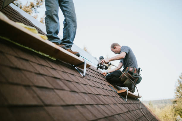 Best Emergency Roof Repair  in Banner Hill, TN